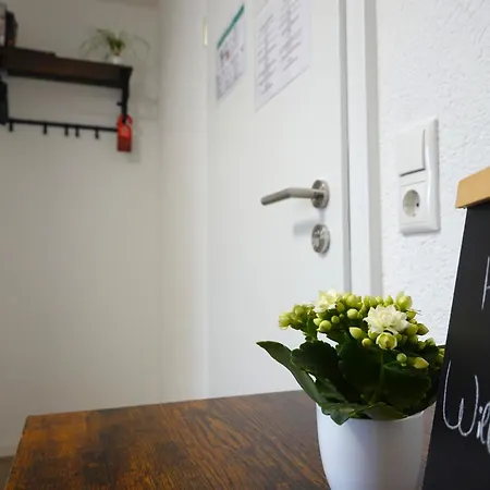 Speedys 3* Раймерат